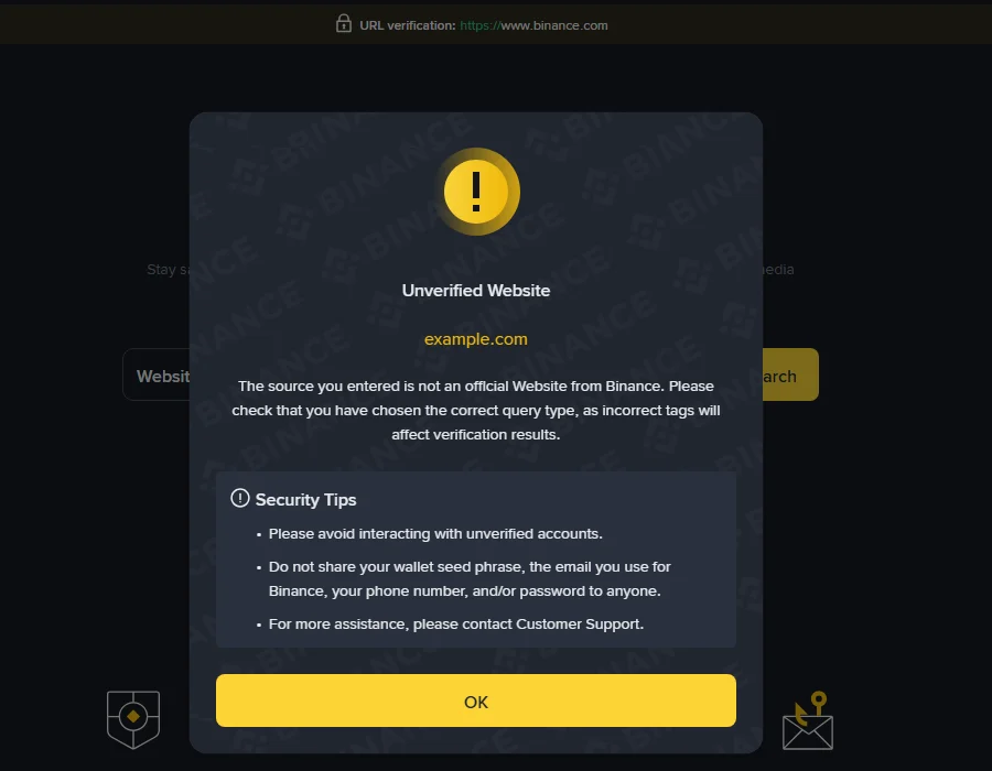 Binance Verify पर example.com डालने पर आया Unverified Website वाला पॉपअप और query type ग़लत चुनने की चेतावनी